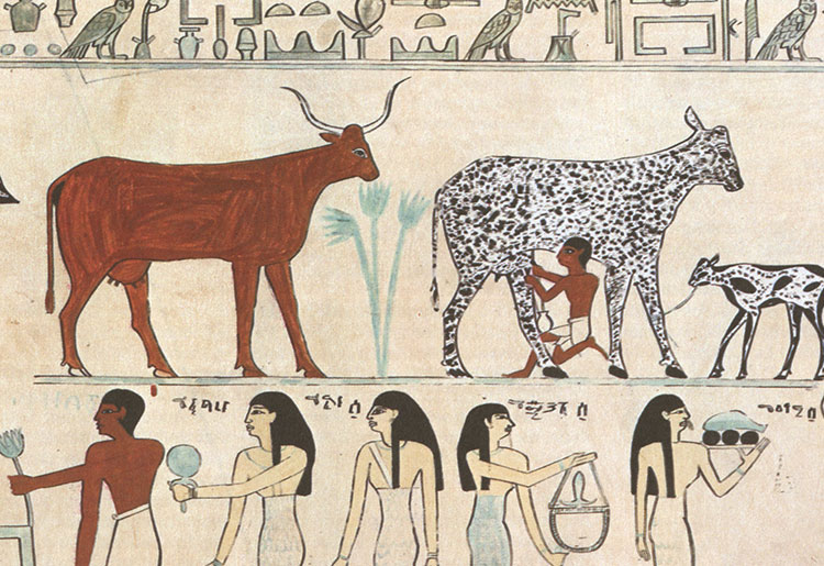 The Diet of the Nile What Did the Ancient Egyptians Eat? History Hit