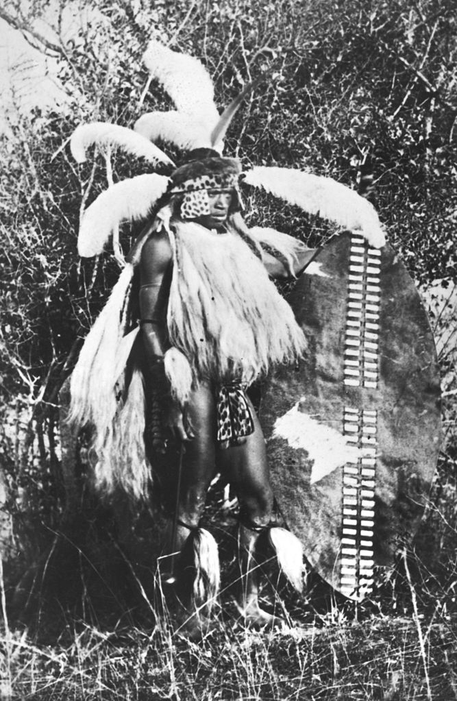 Young Zulu warrior