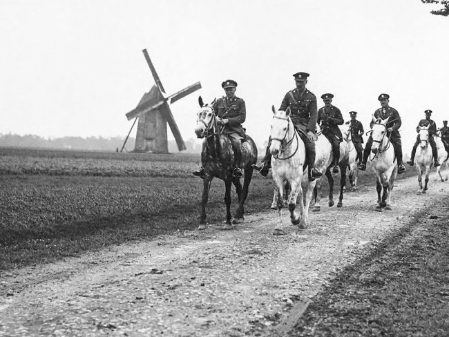 The Animals of World War One in Pictures | History Hit