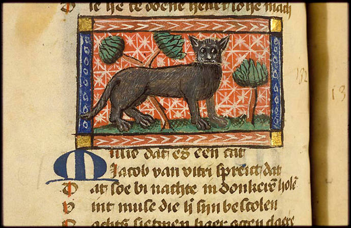 cats-medieval