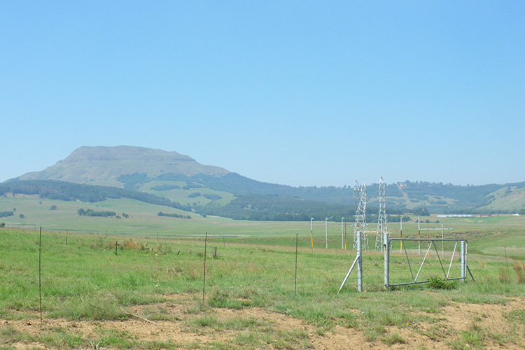 Majuba Hill History and Facts History Hit