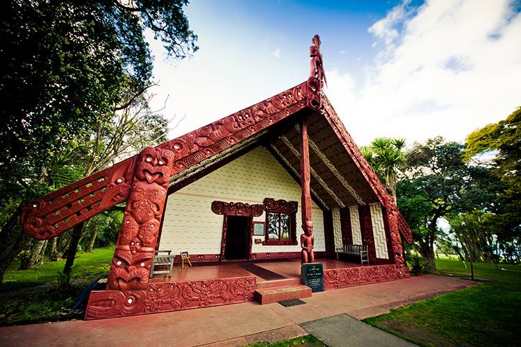 waitangi treaty grounds tour