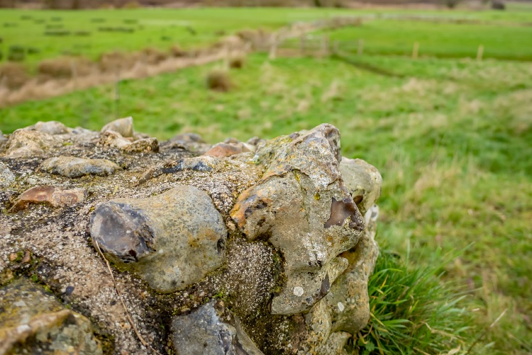 Venta Icenorum History and Facts History Hit