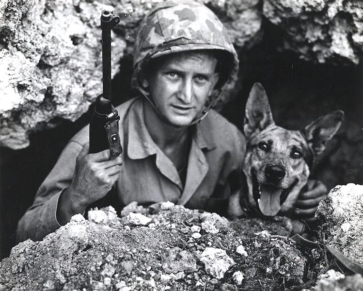 10 Animals That Played an Important Role in the Second World War | History  Hit