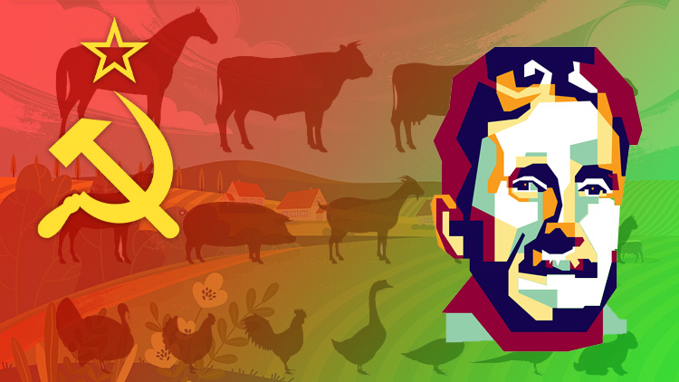 Animal Farm By George Orwell – Key Characters Summary | History Hit