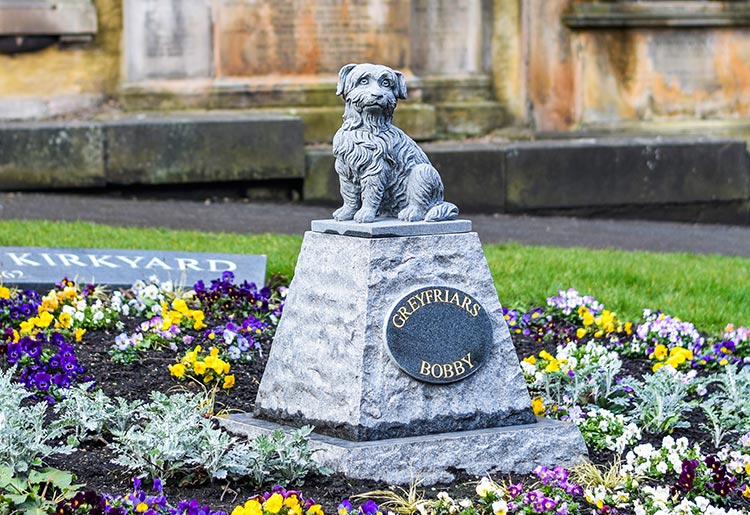 Greyfriars Bobby: Scotland’s Most Famous Dog | History Hit