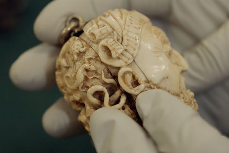 The Wealth and Humility of Memento Mori