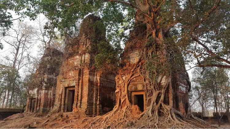 Preah Vi Preah Vihear Temple - History and Facts | History Hit